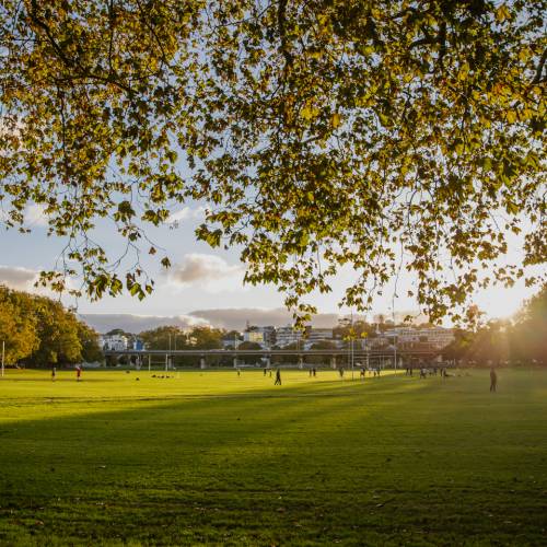 Park during sunset