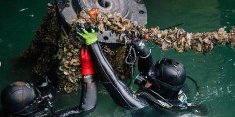 Mussels-Te-Wananga.JPG