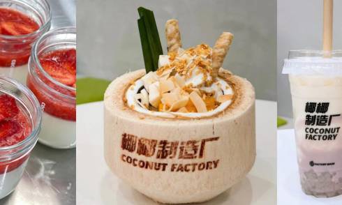 Coconut Factory banner